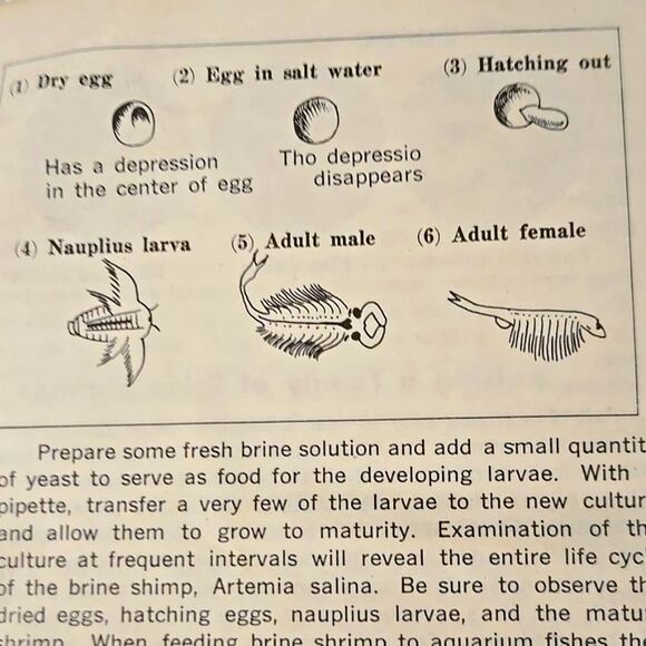 Vintage Gem Microscope MCM W/ Manual Embassy 100X-750X Scientific - Picture 13 of 15